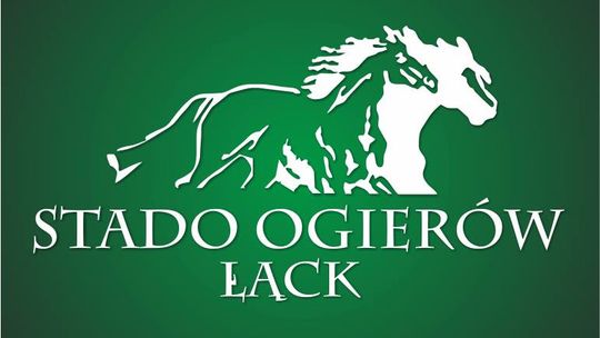 100 - lecie Stada Ogierów w Łącku
