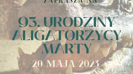 93. Urodziny aligatorzycy Marty