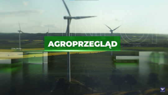 AgroPrzegląd - zainwestuj w lasy, spadki na rynku zbóż, uprawa pomidorów