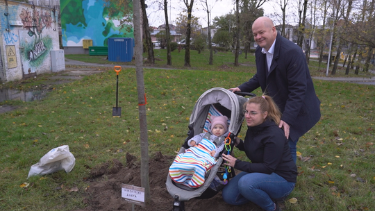 Akcja "Drzewa Młodych Płocczan"
