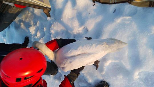 Akcja ratownicza na lodzie