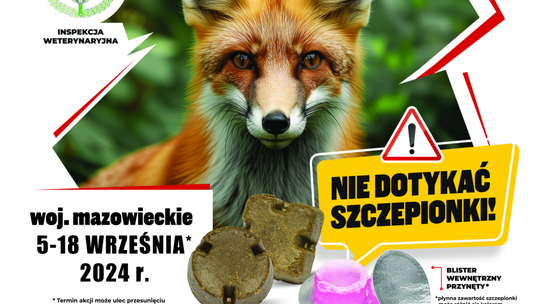 Akcja szczepienia lisów