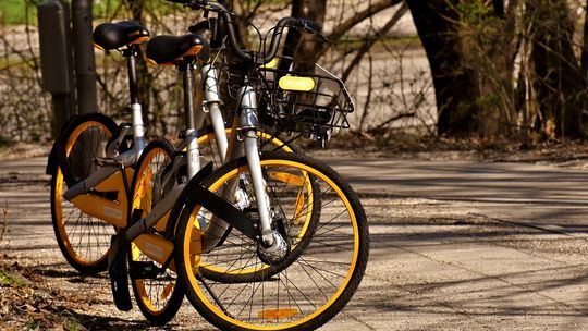 Bezpiecznie i ekologicznie – Płock rozbudowuje sieć rowerową