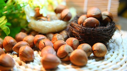 Dieta Cud - koktajl z orzechami laskowymi