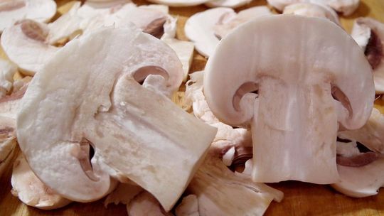 Dieta Cud - niepozorne pieczarki