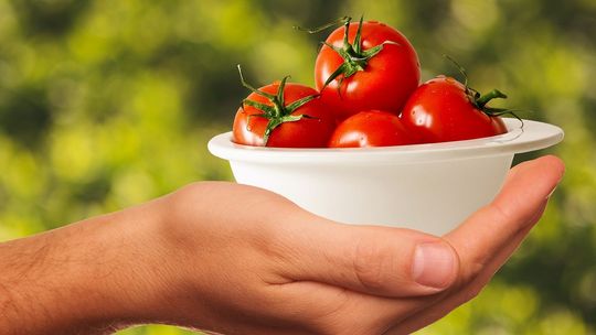 Dieta Cud - pomidory, czyli sekret zdrowia na talerzu