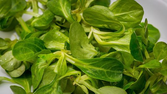 Dieta Cud - roszponka pod lupą