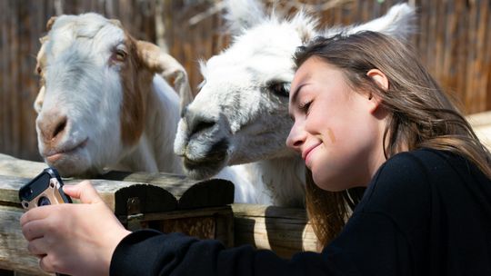 Dzień Miłośników Zoo
