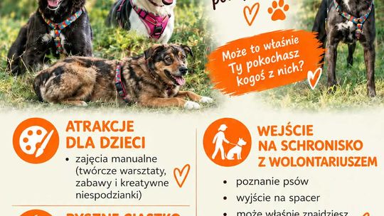 Dzień otwarty w schronisku