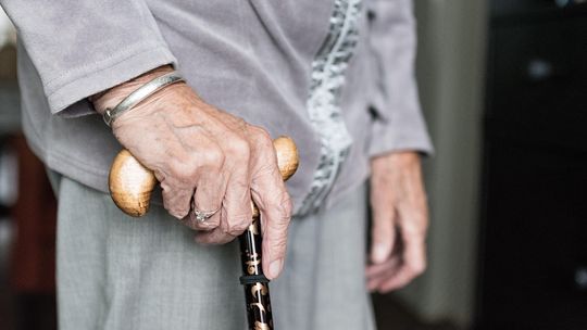 Empatia nie ma wieku! Dzień Seniora w Rawie Mazowieckiej