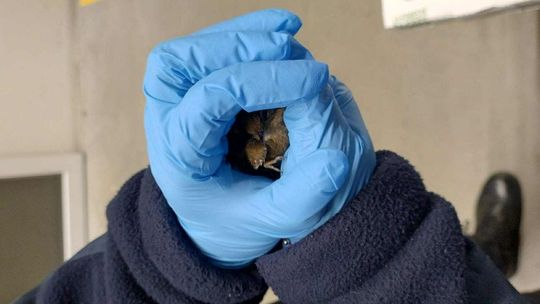 Empatyczny pracownik marketu