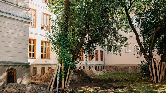 Jagiellonka będzie jak nowa