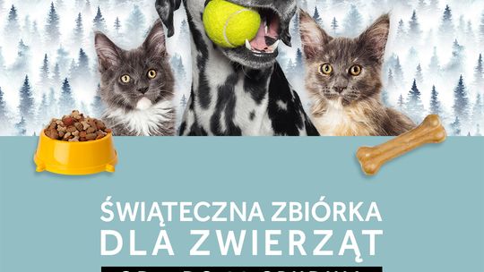 Jeszcze tylko do 20 grudnia trwa zbiórka na rzecz bezdomnych zwierząt w Atrium Mosty!