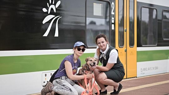 Koleje Mazowieckie na Warszawskim Dniu Zwierząt