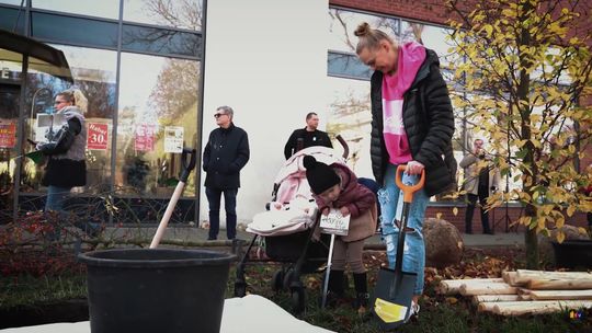 Kolejne drzewa młodych płocczan! Gdzie się znajdują?