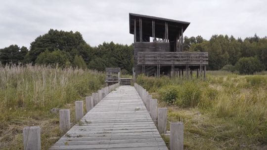 🧳🏕🏞Mazowsze na Weekend - Kampinos - odcinek 4