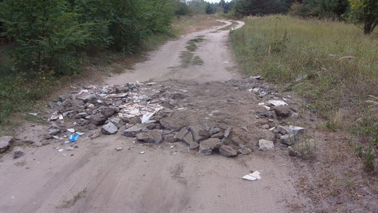 Mężczyzna wpadł na pomysł, żeby samodzielnie utwardzić drogę w lesie