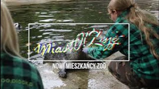 MiastO!Żyje - 13.10.2023