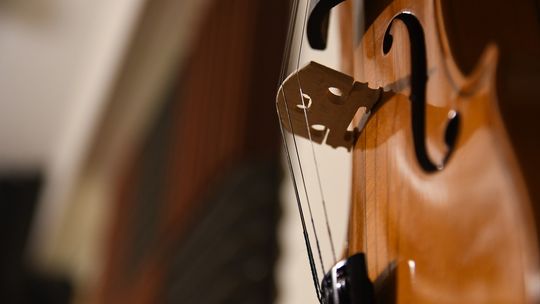Międzynarodowa Młodzieżowa Orkiestra w Płocku