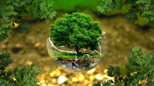 Młodzieżowy Strajk Klimatyczny - Młodzież mówi “TAK” edukacji klimatycznej