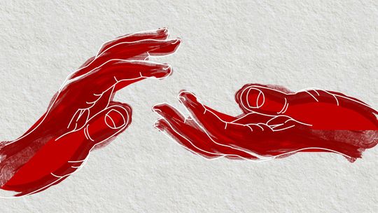 Pani Joanna z Płocka walczy o życie swoich synów!