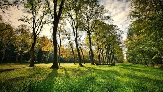 Park na Międzytorzu