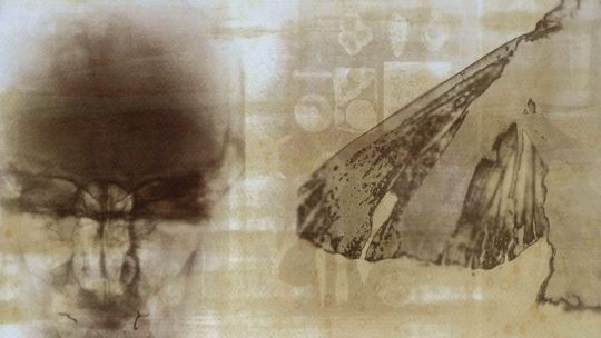 Październik w Muzeum Mazowieckim w Płocku