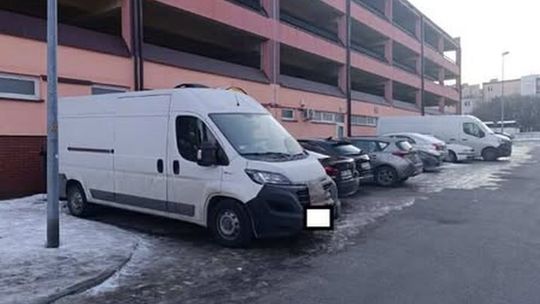 Pies w zamkniętym aucie na mrozie