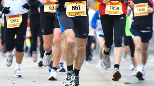 Płock biegową stolicą – ponad 900 uczestników w Półmaratonie Dwóch Mostów
