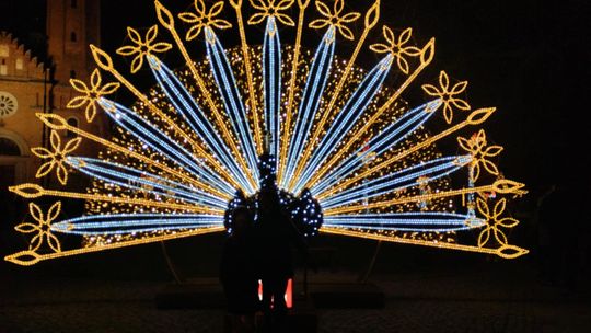 Płock najładniej oświetlonym miastem?