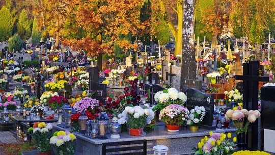 Płock pamięta – tysiące zniczy i serc w akcji “Ratujmy Płockie Powązki”