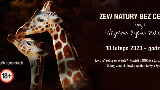 Płockie ZOO zaprasza na oryginalny wieczór tuż przed Walentynkami!