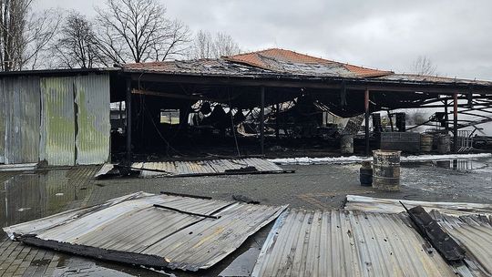 Pożar na kultowej plaży