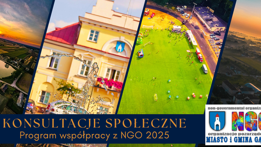Program współpracy miasta i gminy Gąbin z organizacjami pozarządowymi na rok 2025