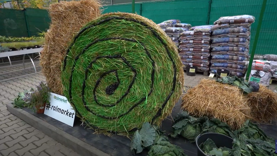 ROLMARKET - Dzień Kapusty