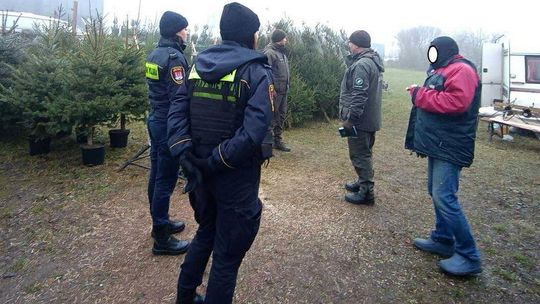 Ruszyła akcja choinka