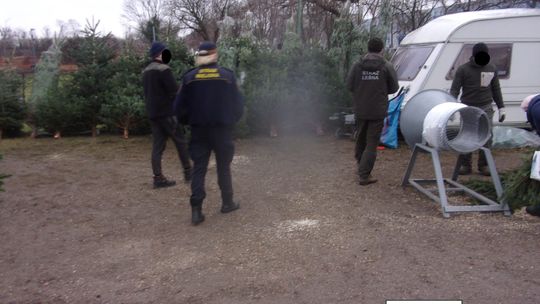 Ruszyła coroczna akcja Choinka