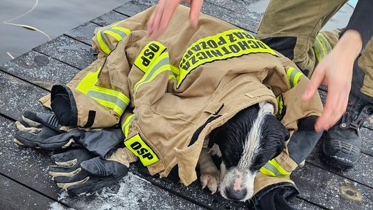 Strażacy w nietypowej akcji