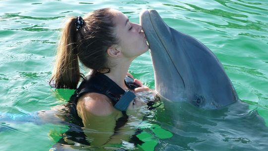 Światowy Dzień Delfina – święto mądrości i uroku oceanów
