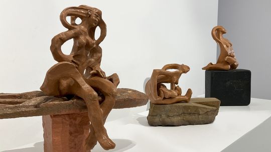 „Trzy odsłony sztuki”  w Płockiej Galerii Sztuki