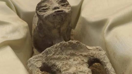 Ufolog pokazał światu ,,obce ciała”
