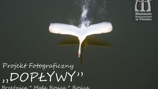Uwaga płoccy fotografowie przyrody!