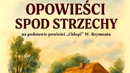 W Płocku prawie jak w Lipcach