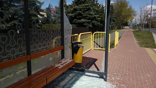 Wandale niszczą płockie przystanki!