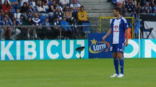 Wisła żegna się z defensorem