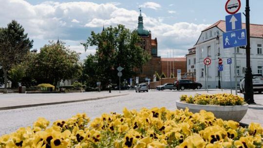 Władze miasta rozdają kwiatki