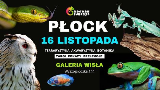 Wszystkie stworzenia straszne i straszniejsze