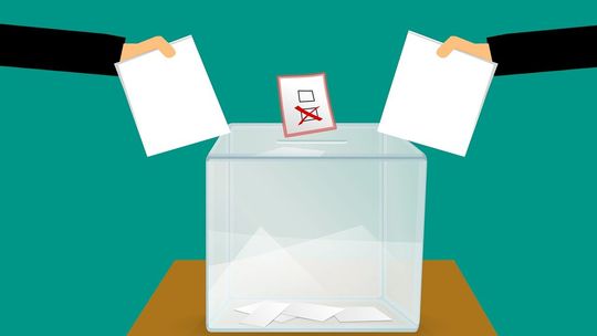 Wybory do rad sołeckich, osiedlowych i na sołtysów
