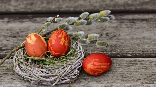 🐰🤩🐣 Wydanie Specjalne - Wielkanoc 2023