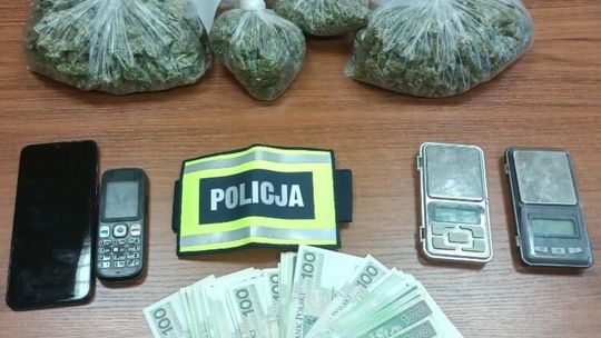 Zatrzymano pół tysiąca porcji handlowych zawierające narkotyki